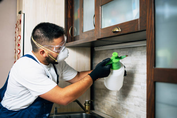 Best Wasp Removal Services  in Greenfield, IL