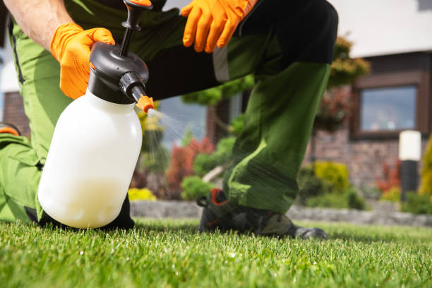 Best Affordable Pest Control Services  in Greenfield, IL