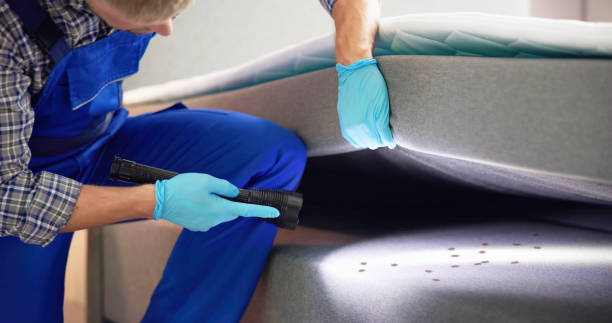 Best Emergency Pest Control  in Greenfield, IL