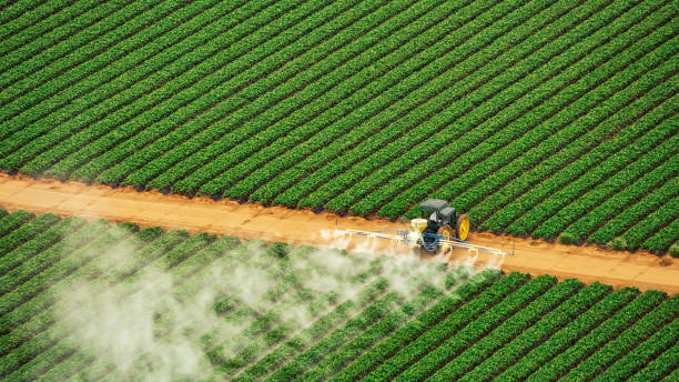 Pest Prevention Services in Greenfield, IL