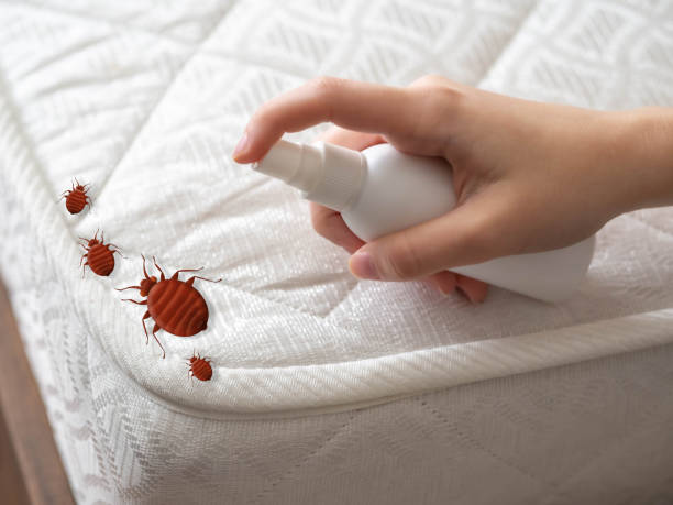 Best Best Pest Control Companies  in Greenfield, IL