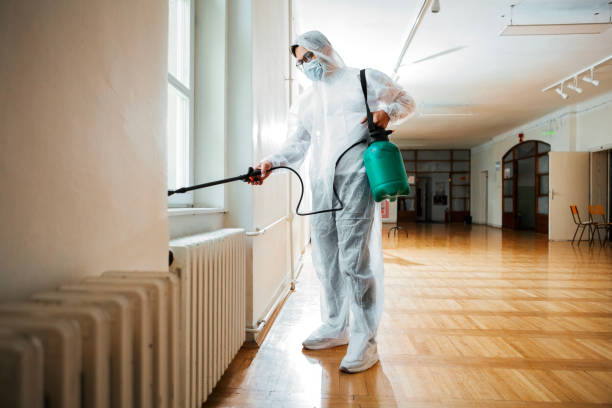 Best Termite Control Services  in Greenfield, IL
