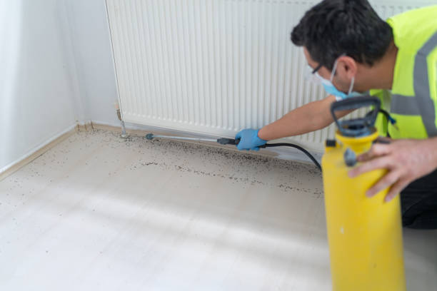 Trusted Greenfield, IL Pest Control Experts