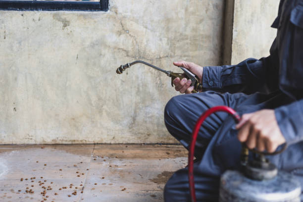 Best Pest Control Near Me  in Greenfield, IL